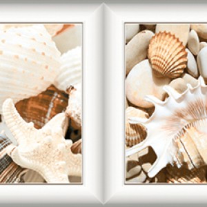 Gạch trang trí 30x60 Prime Evolution 05.300600.08369